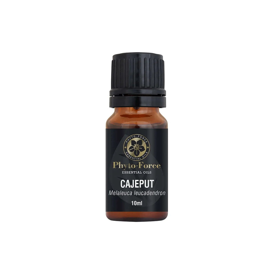 Phyto Force Cajeput Oil bottle, 10ml, known for its antimicrobial properties in natural remedies.