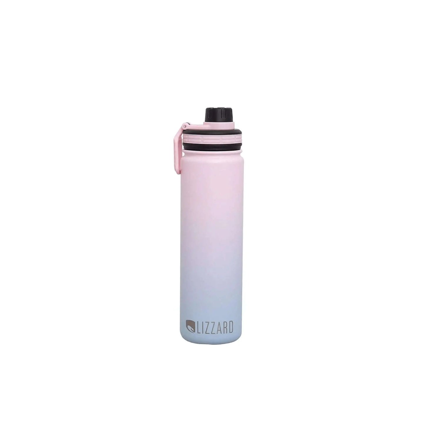 Lizzard Flask 650ml in gradient color, double-walled stainless steel, perfect for beverages and eco-friendly.