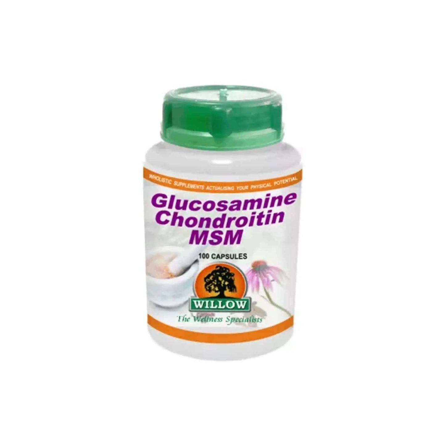 Willow Glucosamine / Chondrotin / MSM Willow