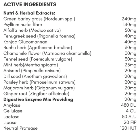 NUTRIGREEN DIGESTEZYME - Nutrigreen | Energize Health